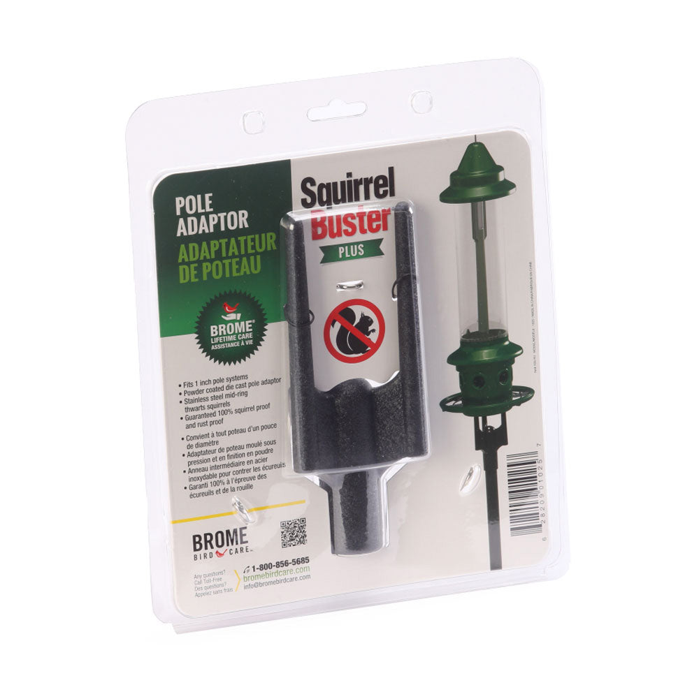 Brome Squirrel Buster Plus Pole Adapter Birds Choice