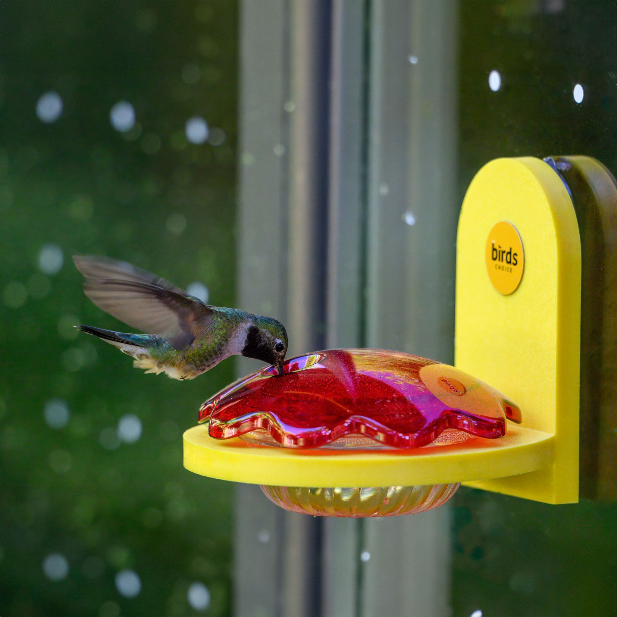 hummingbird klapprad Birds Choice Window Mount Hummingbird Feeder in Yellow Recycled Plastic