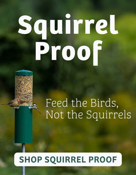 Bird feeder with text 'Squirrel Proof' and 'Feed the Birds, Not the Squirrels' on a blurred natural background.