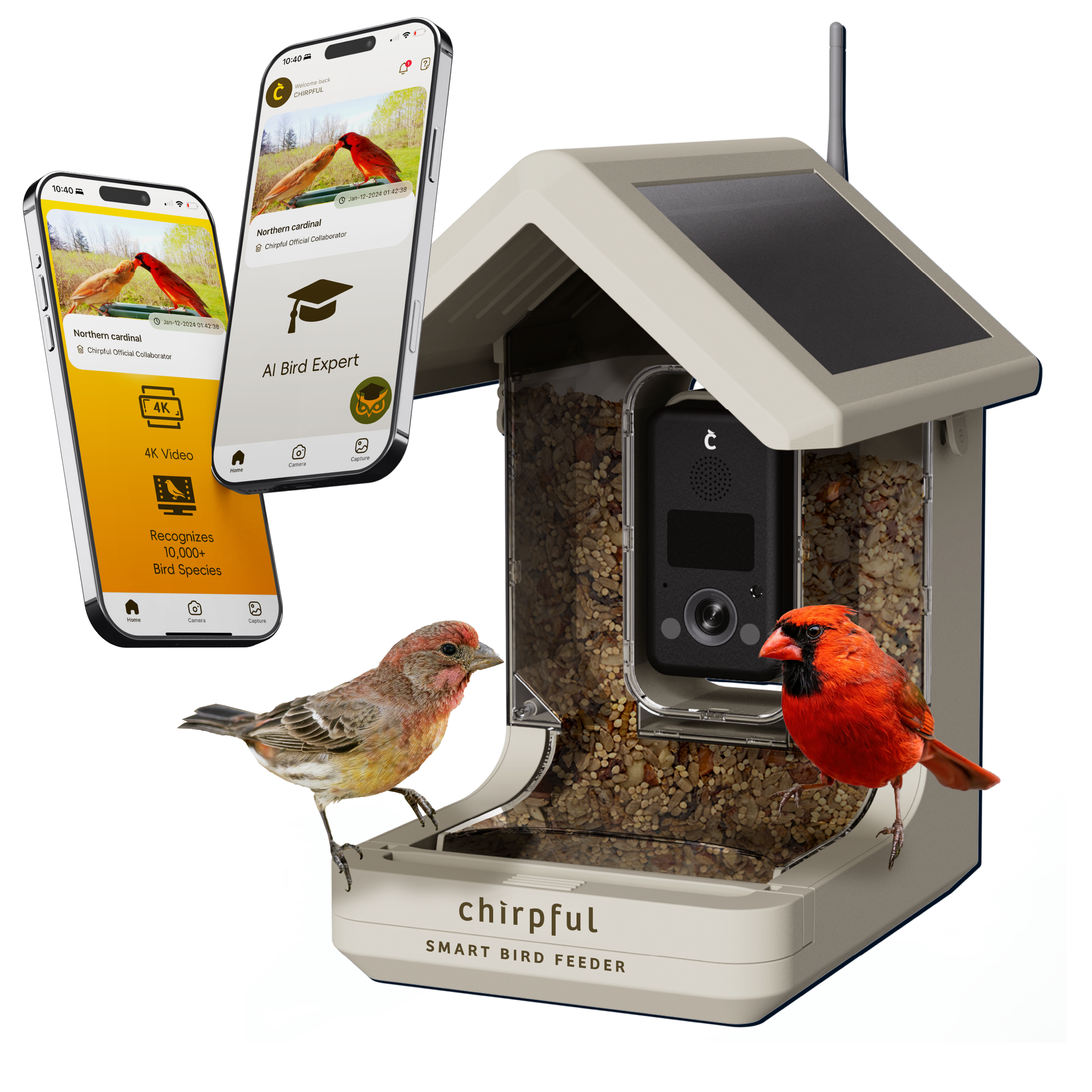 Chirpful Smart Feeder - 4k Camera | Solar-Powered | AI-Driven