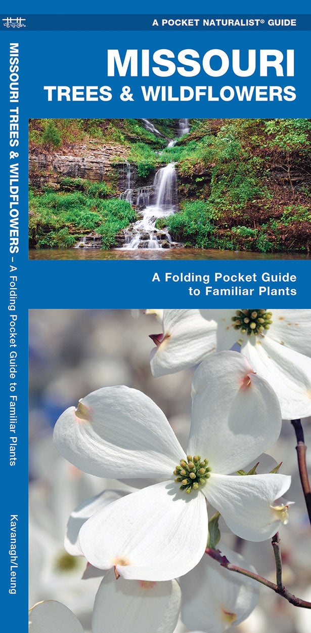 missouri wild flower seeds Birds Choice Missouri Trees & Wildflowers Pocket Guide