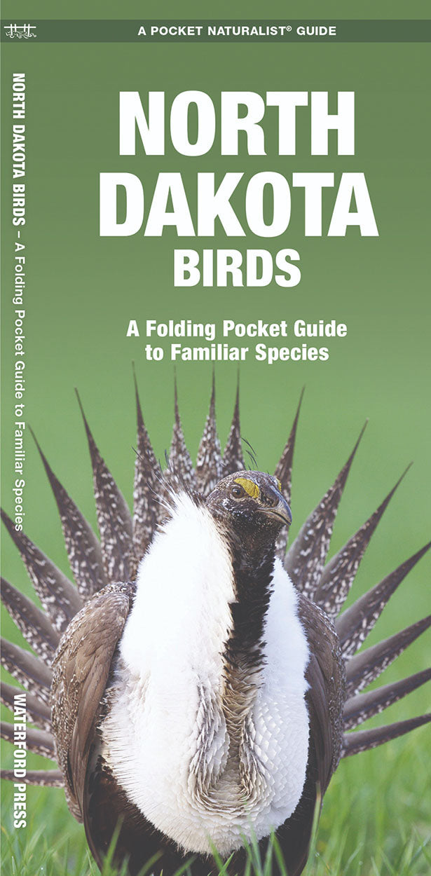 North Dakota Birds Pocket Guide – Birds Choice