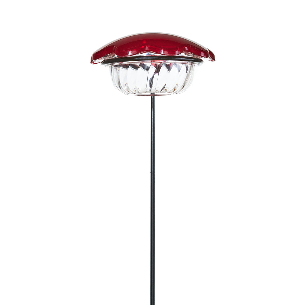Birds Choice Hummingbird Feeder Single Cup Plant Stake for Nectar