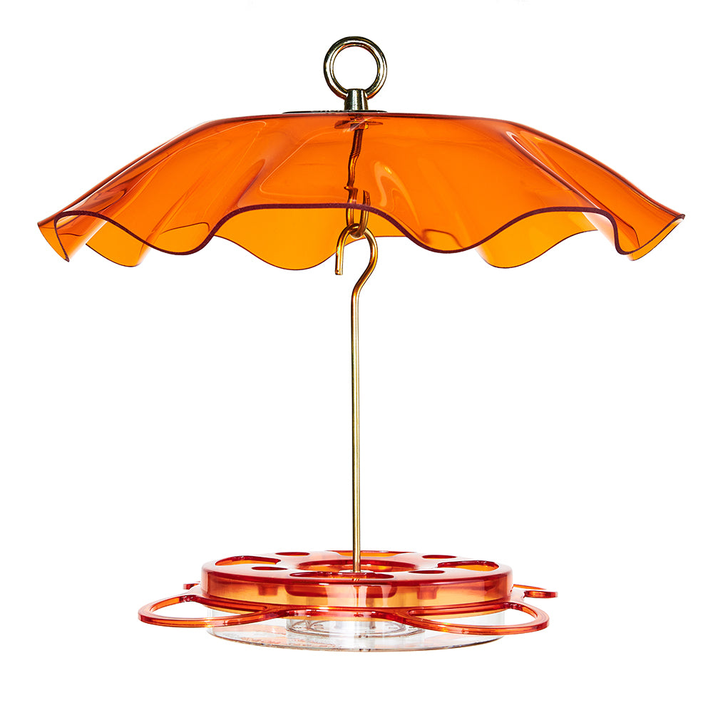 Oriolefest Oriole Feeder Translucent Top 12 oz with Orange Protective Weatherguard - Birds Choice