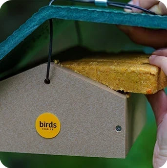 Why a Bird Food Subscription Changes Everything