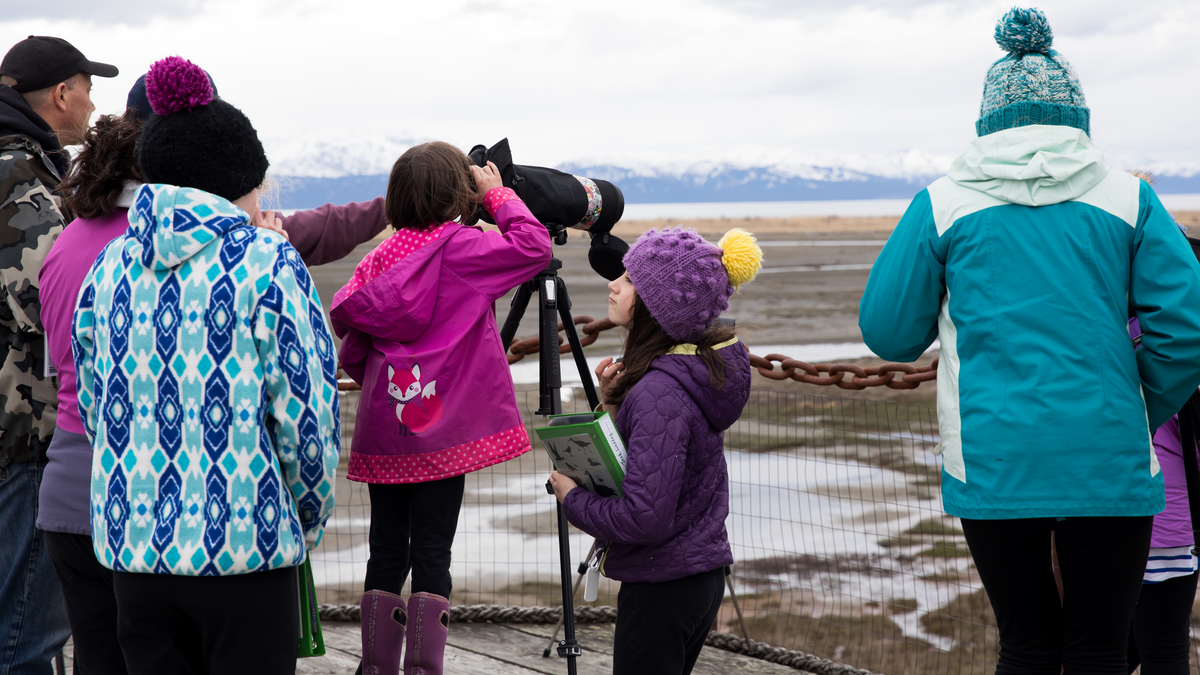 Track birds at your feeders for science!