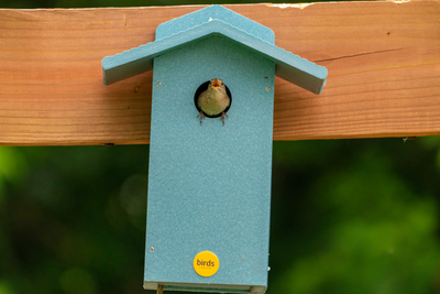 Want to move? Build a new neighborhood instead. | How to care for Birds Choice Bird Houses
