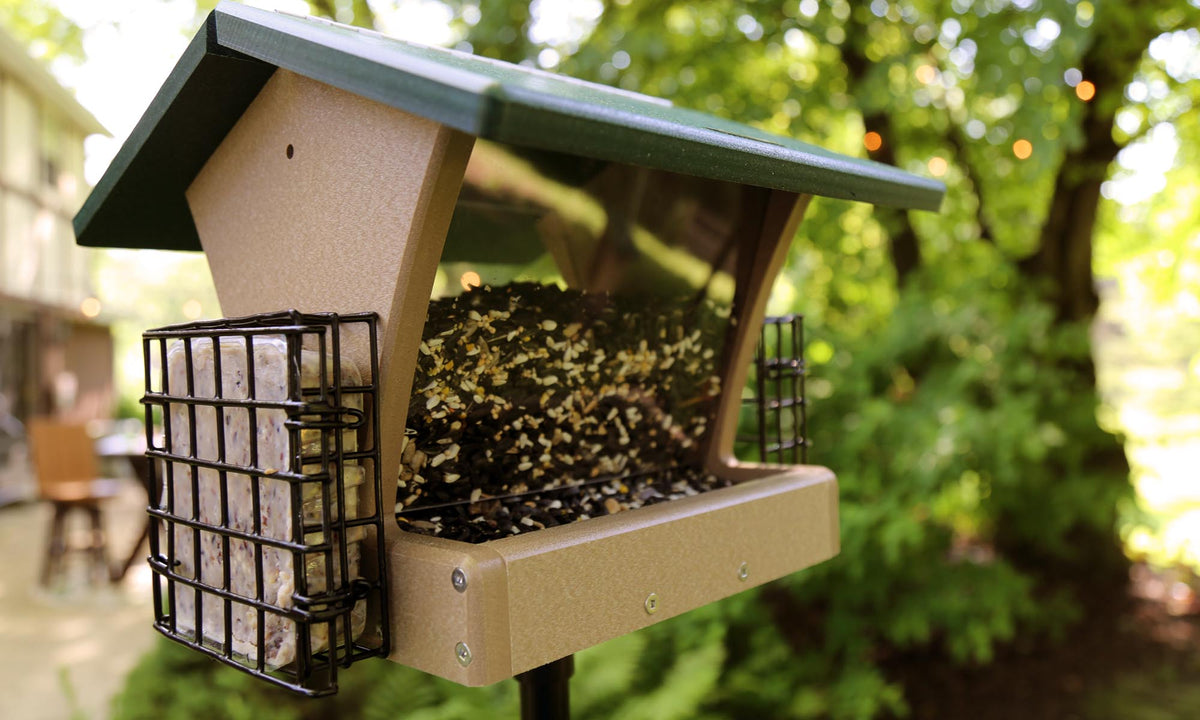 Bird Food