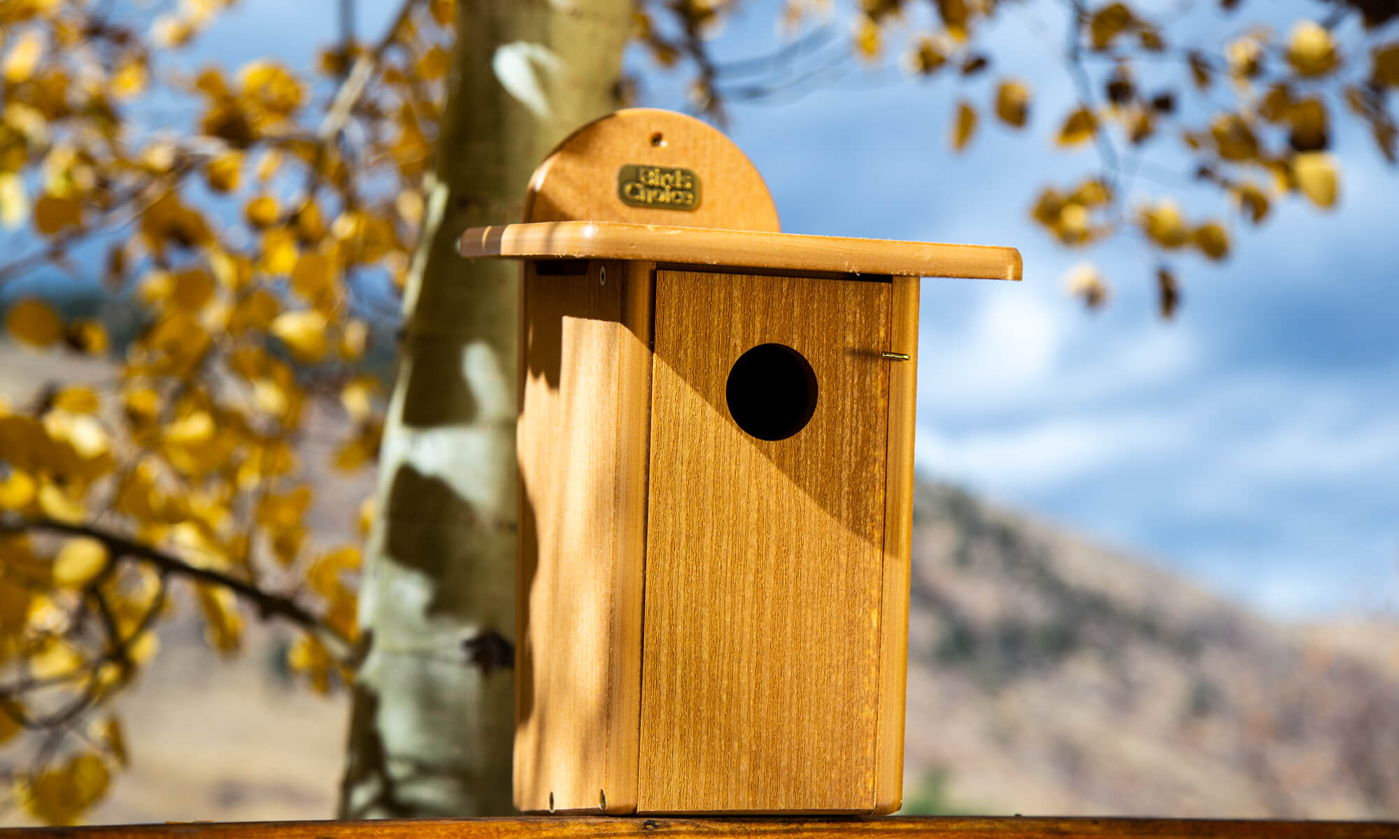 Bird Houses