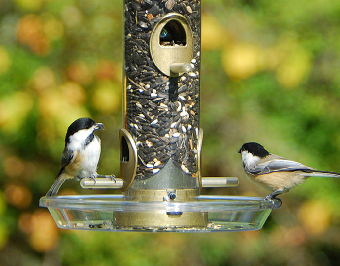 Aspects Round Seed Tray for Tube Top Feeders - Birds Choice
