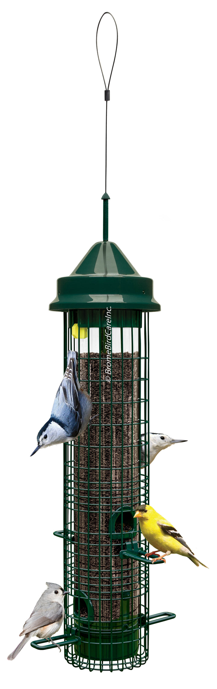 Brome Squirrel Buster Classic Squirrel-proof Bird Feeder - Birds Choice