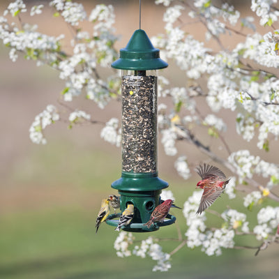 Brome Squirrel Buster Plus Squirrel-proof Bird Feeder w/Cardinal Ring