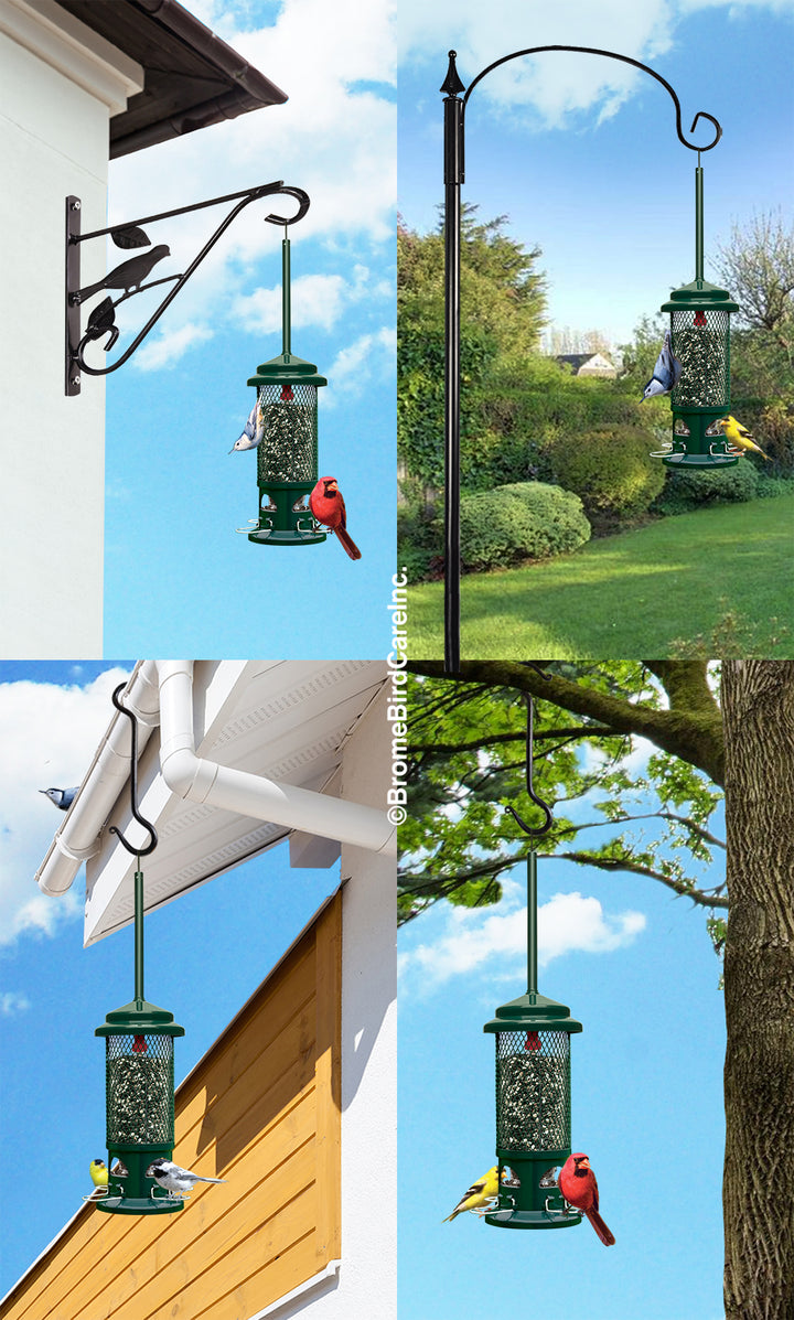 Brome Squirrel Buster Standard Squirrel-proof Bird Feeder - Birds Choice