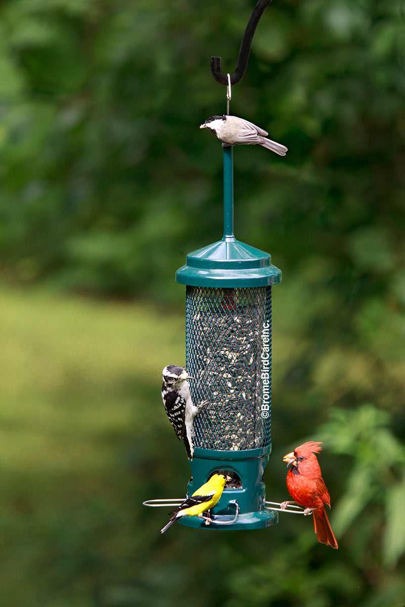 Brome Squirrel Buster Legacy Squirrel-proof Bird Feeder - Birds Choice