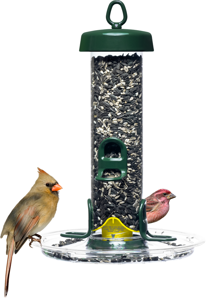 Brome Tube Solution Tray - Birds Choice