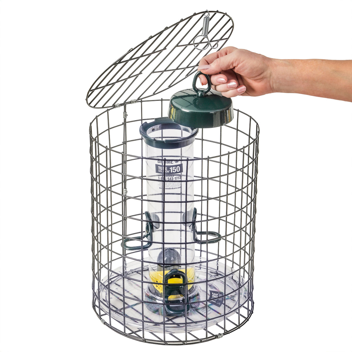 Brome Squirrel-Proof Tube Feeder with Cage &amp; Seed Tray - Birds Choice