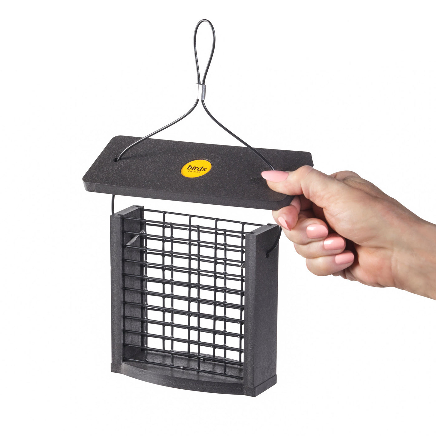 Recycled Plastic Suet Feeder in Black - Birds Choice