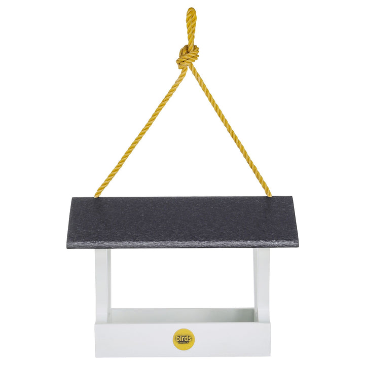 最安 in Feeder Bird Fly-Thru Farmhouse Modern Black White and ギター