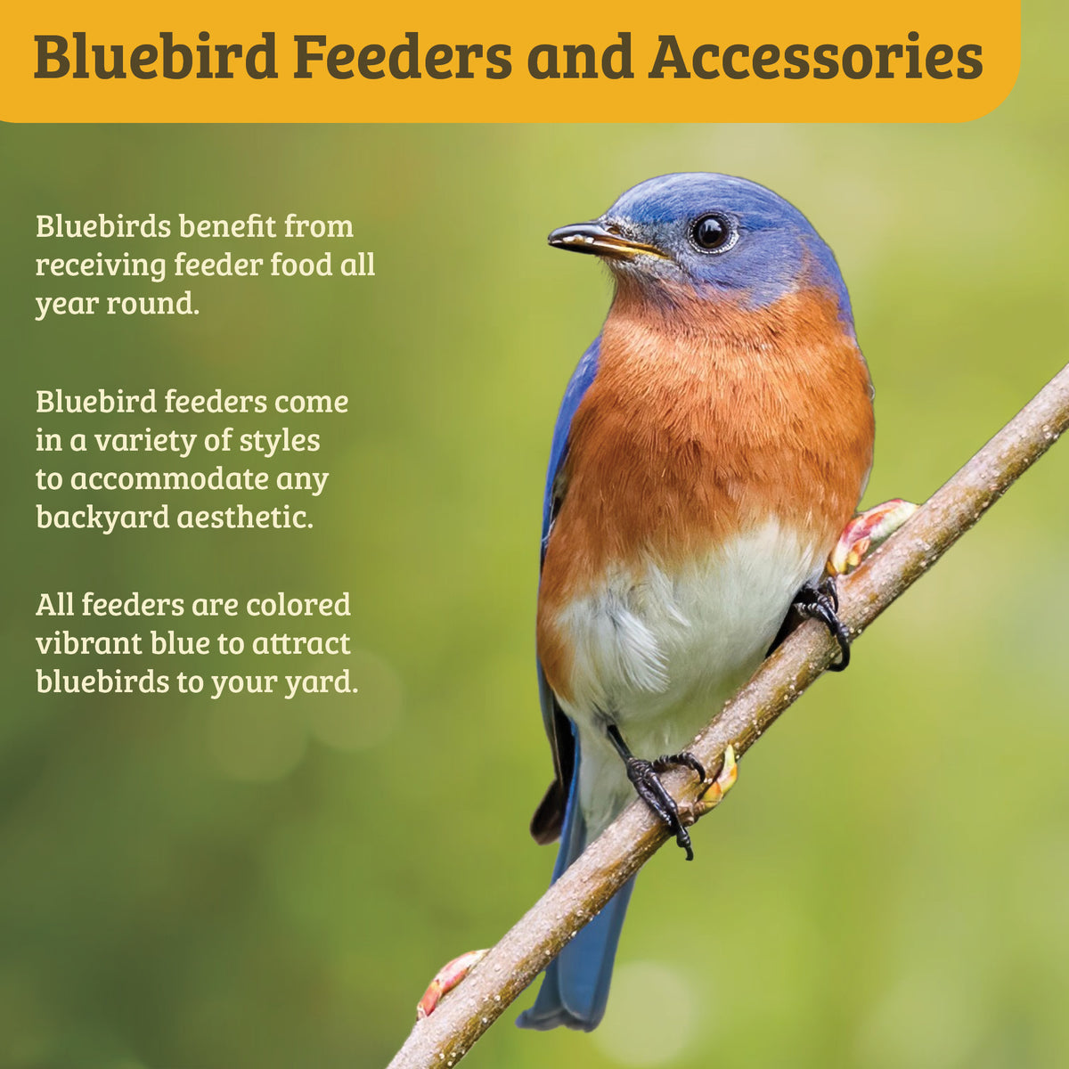 Bluebird House Mounting Pole Set - Birds Choice