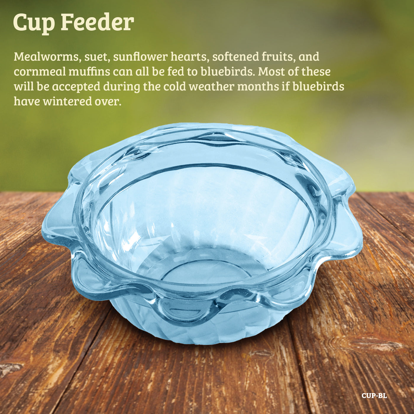 Bluebird Feeder Flower Shape for Mealworms and Dried Fruit