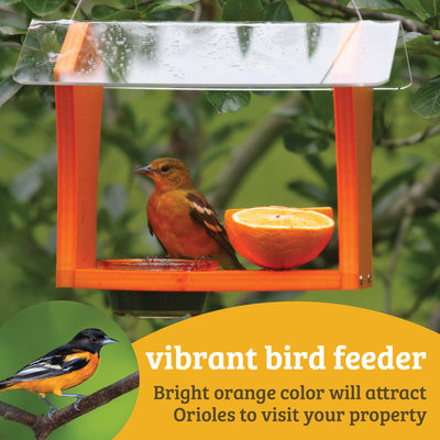 Oriole Bird Feeder in Orange Recycled Plastic