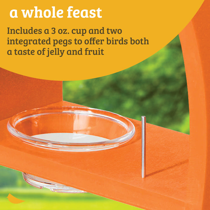 Oriole Bird Feeder in Orange Recycled Plastic - Birds Choice
