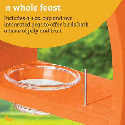 Oriole Bird Feeder in Orange Recycled Plastic