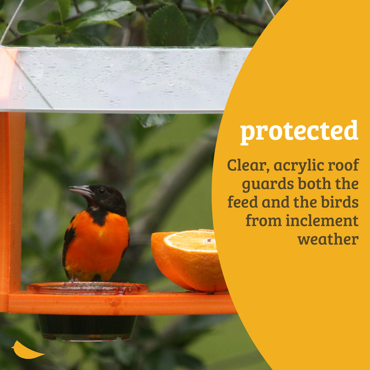Oriole Bird Feeder in Orange Recycled Plastic - Birds Choice