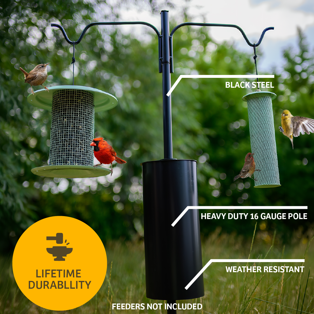 2 Arm Complete Bird Feeder Pole Set with Squirrel Baffle - Birds Choice