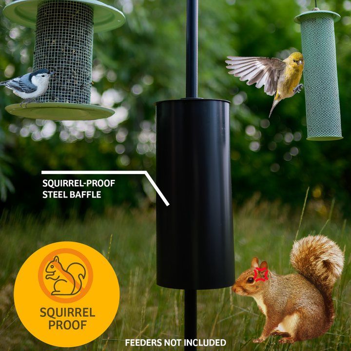 2 Arm Complete Bird Feeder Pole Set with Squirrel Baffle - Birds Choice