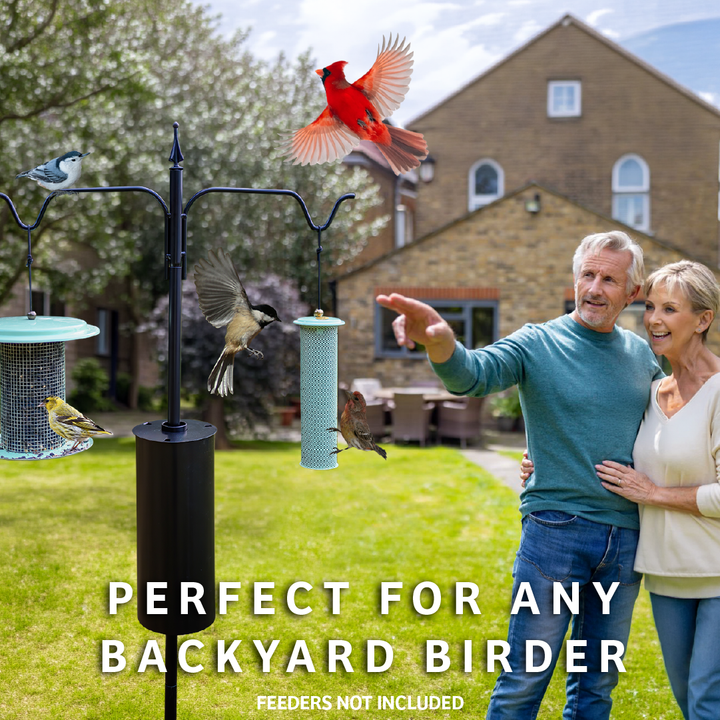 2 Arm Complete Bird Feeder Pole Set with Squirrel Baffle - Birds Choice