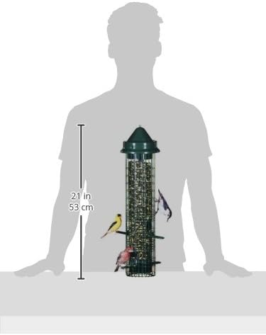 Brome Squirrel Buster Classic Squirrel-proof Bird Feeder - Birds Choice