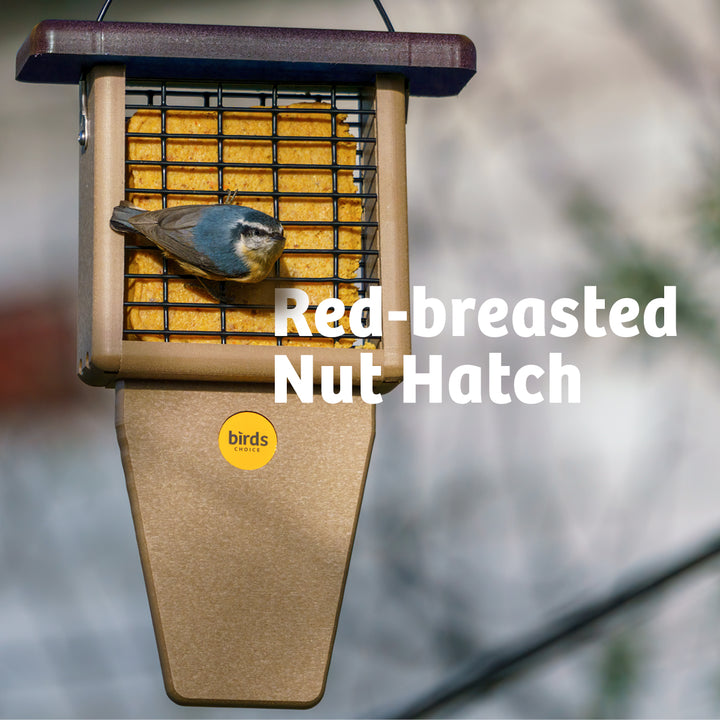 Suet Feeder with Tail Prop for Single Cake in Taupe and Brown Recycled Plastic - Birds Choice