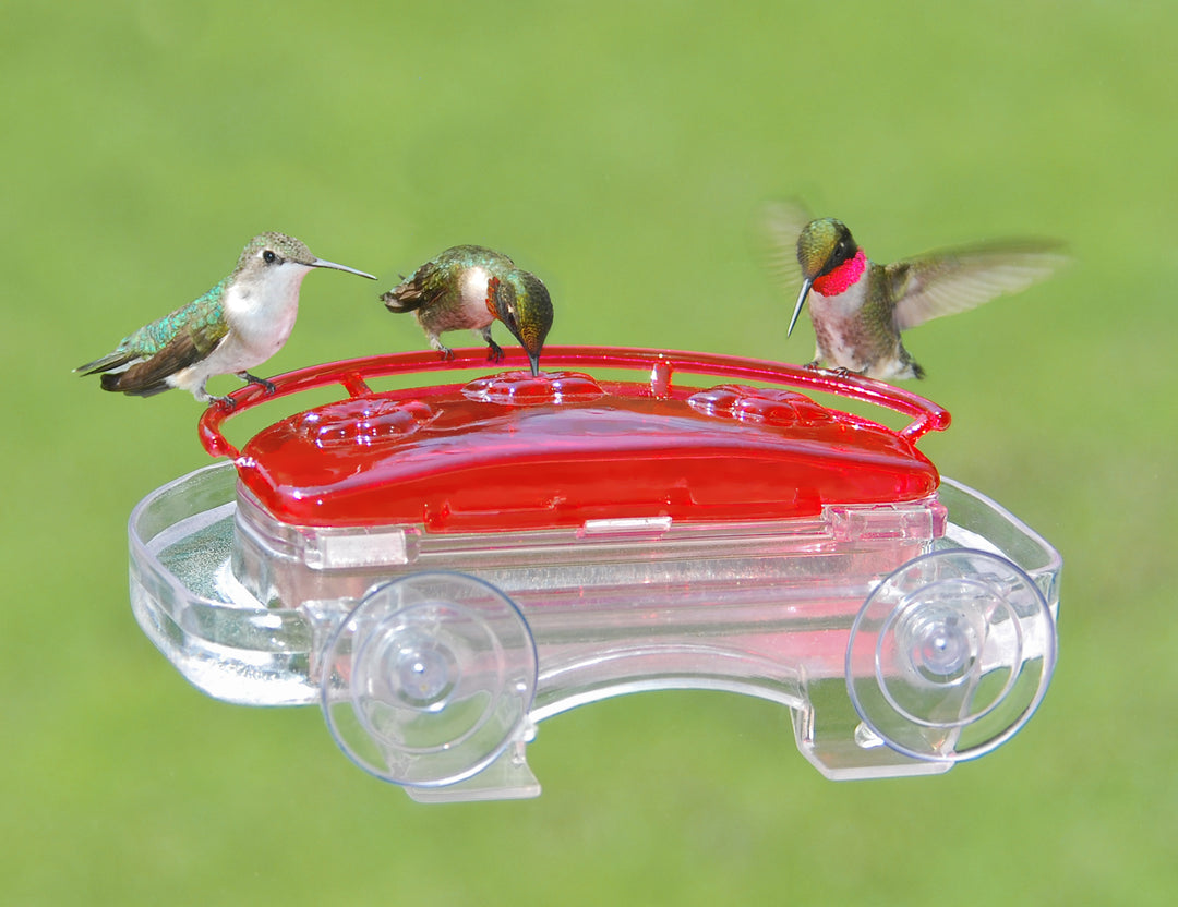 Aspects Jewel Box Window Hummingbird Feeder - Birds Choice