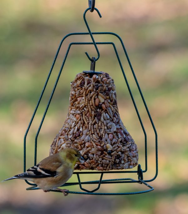 Mr. Bird Seed Bell Hanger - Birds Choice