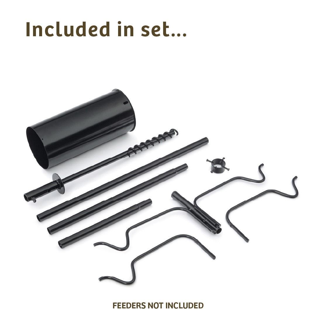 4 Arm Complete Bird Feeder Pole Set with Squirrel Baffle - Birds Choice