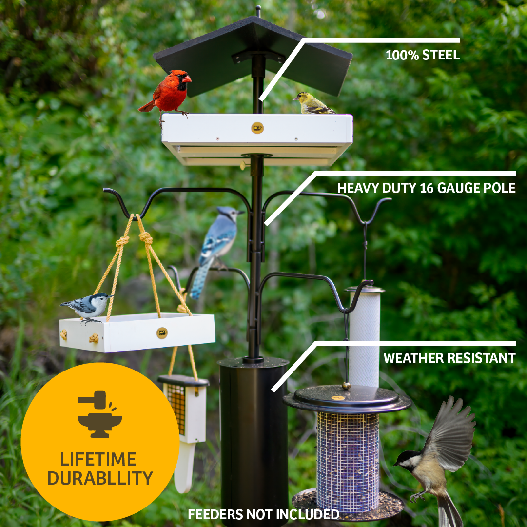 4 Arm Complete Bird Feeder Pole Set with Squirrel Baffle - Birds Choice