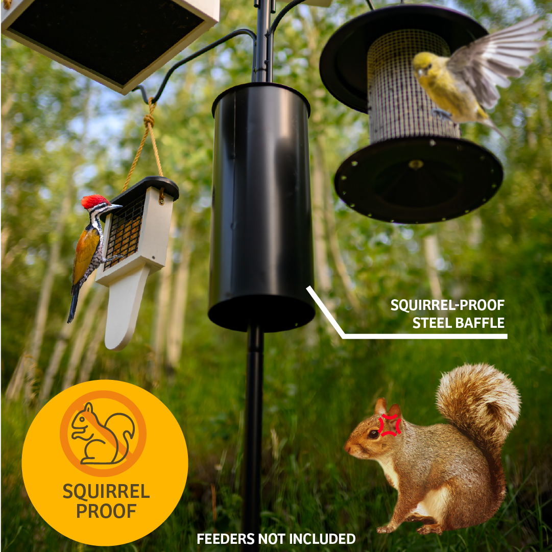 4 Arm Complete Bird Feeder Pole Set with Squirrel Baffle - Birds Choice