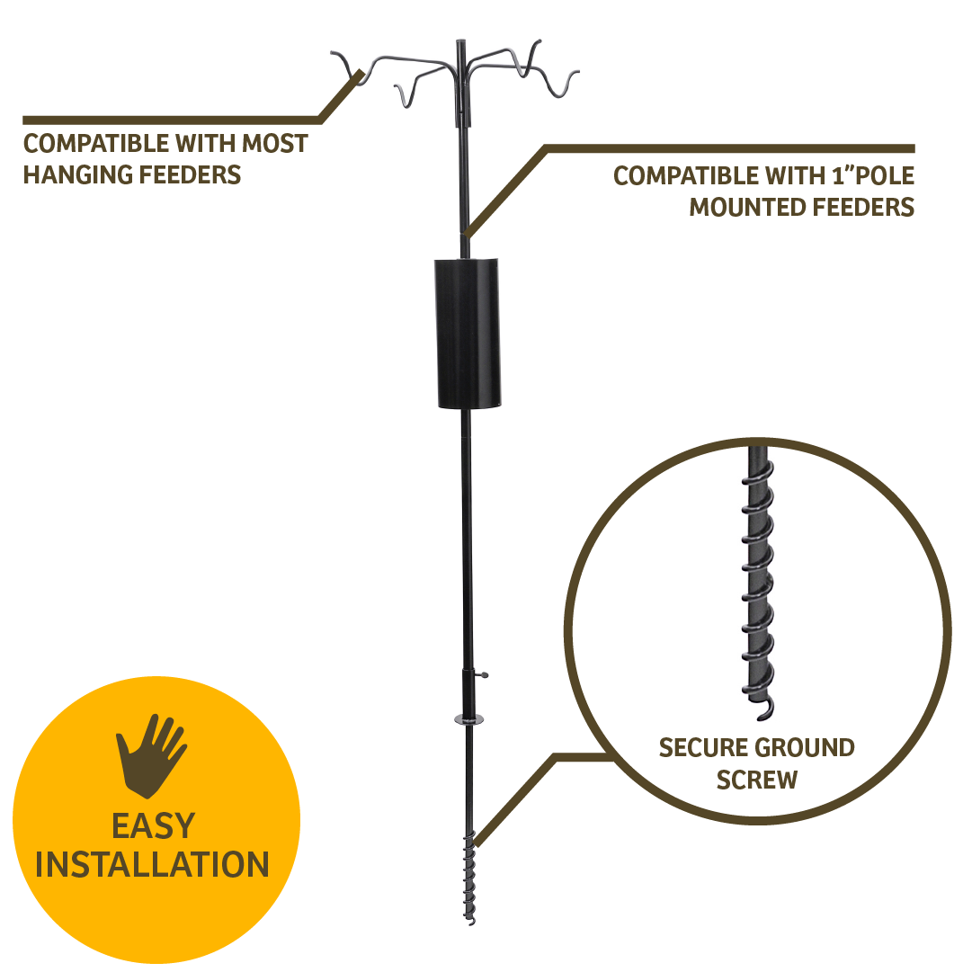 4 Arm Complete Bird Feeder Pole Set with Squirrel Baffle - Birds Choice