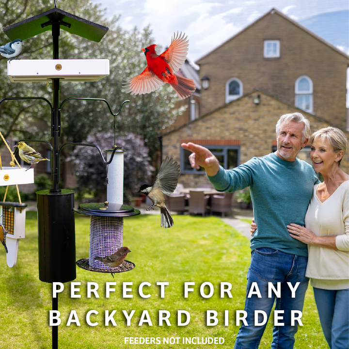 4 Arm Complete Bird Feeder Pole Set with Squirrel Baffle - Birds Choice