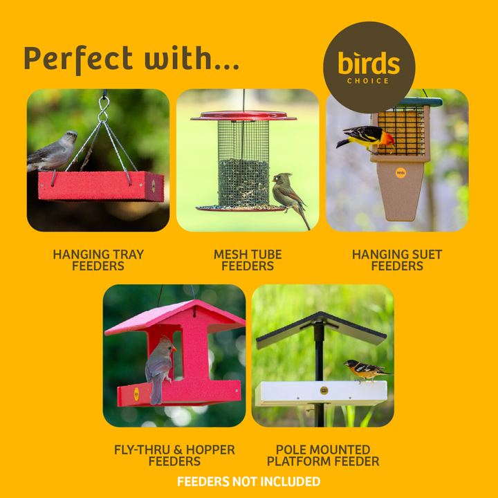4 Arm Complete Bird Feeder Pole Set with Squirrel Baffle - Birds Choice