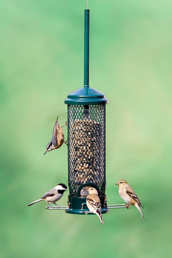 Brome Squirrel Buster Mini Squirrel-proof Bird Feeder - Birds Choice
