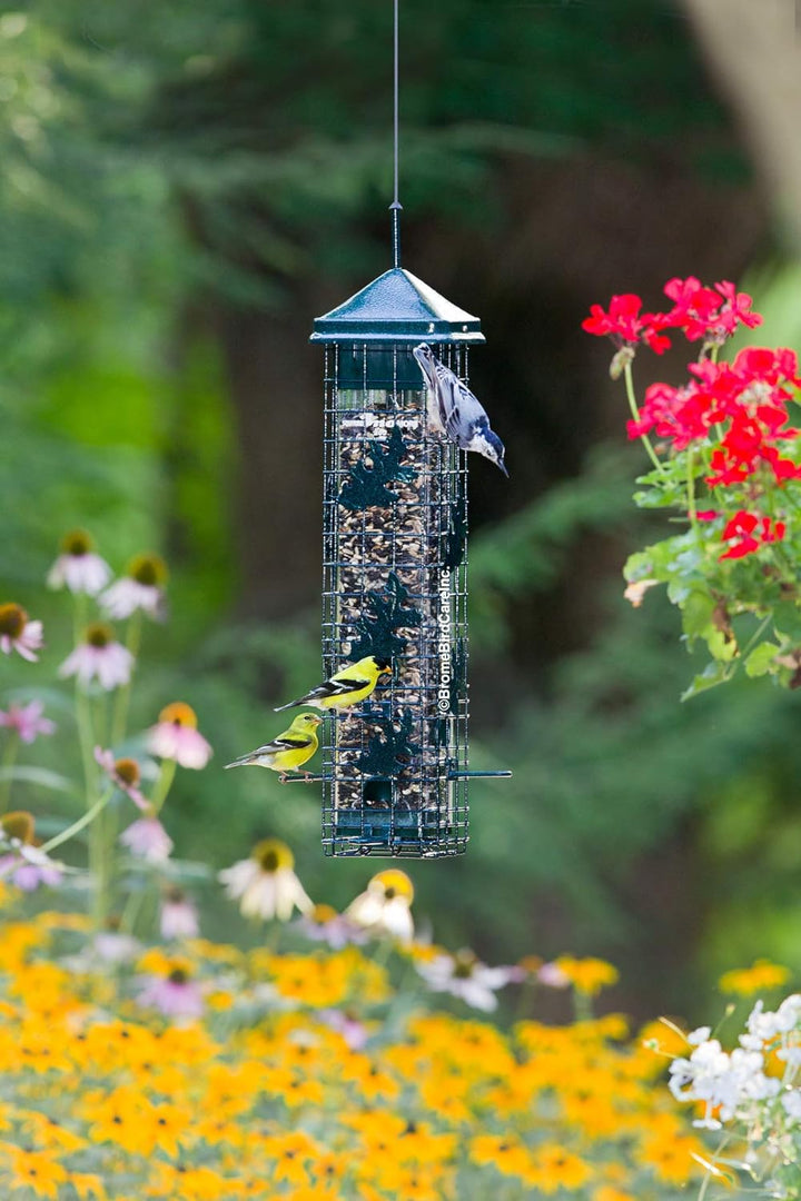Brome Squirrel Solution 200 Squirrel Proof Feeder - Birds Choice