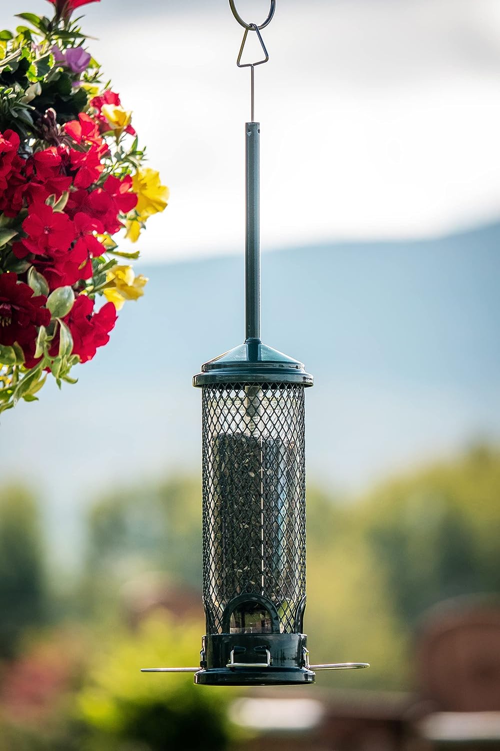 Brome Squirrel Buster Mini Squirrel-proof Bird Feeder - Birds Choice