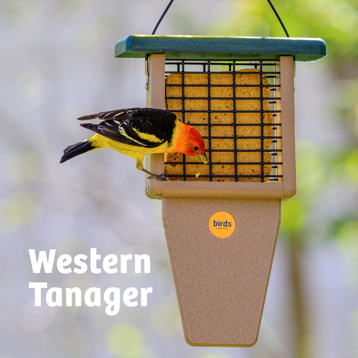 Suet Feeder with Tail Prop for Single Cake in Taupe and Green Recycled Plastic - Birds Choice