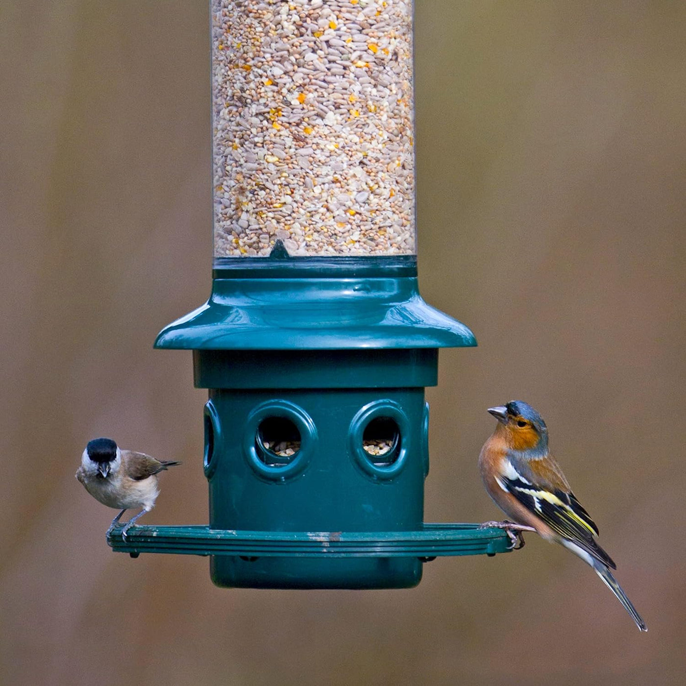 Brome Squirrel Buster Plus Squirrel-proof Bird Feeder w/Cardinal Ring