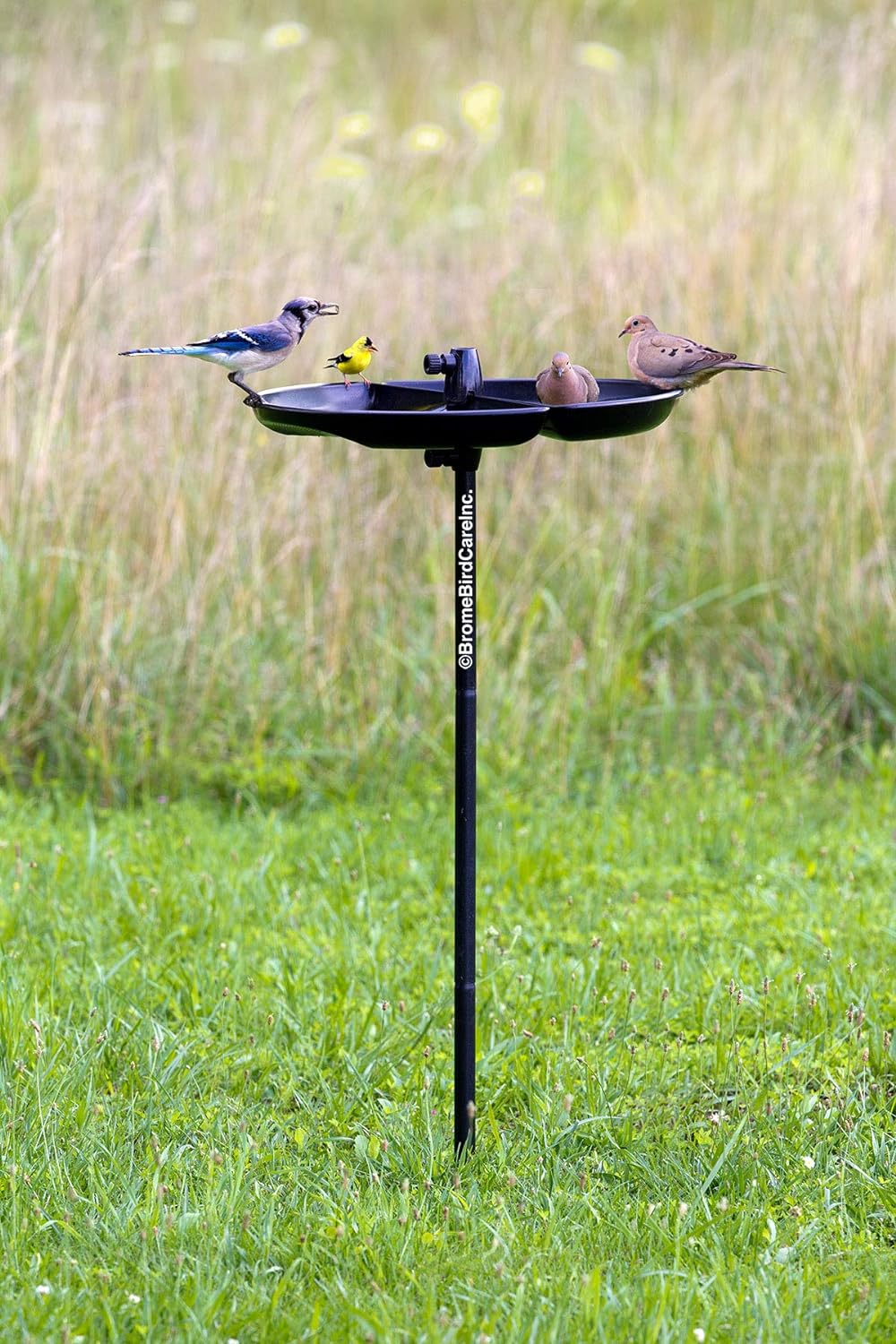 Brome Seed Catcher Tray (Seed Buster) for Wild Bird Feeders