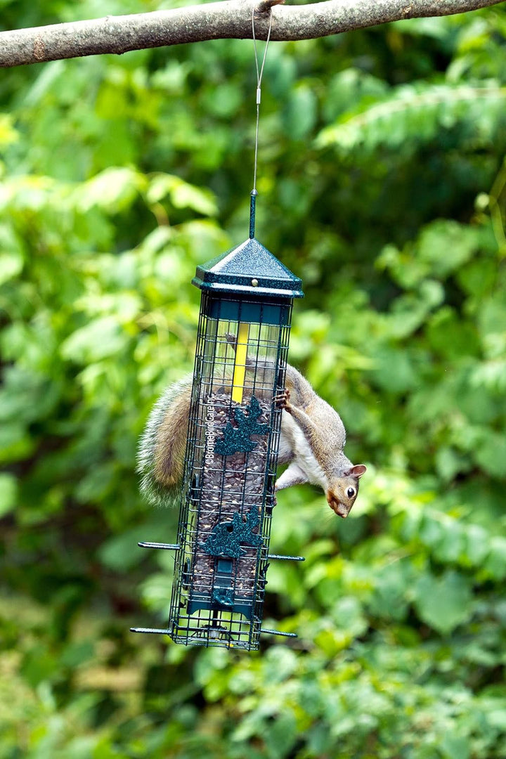 Brome Squirrel Solution 200 Squirrel Proof Feeder - Birds Choice