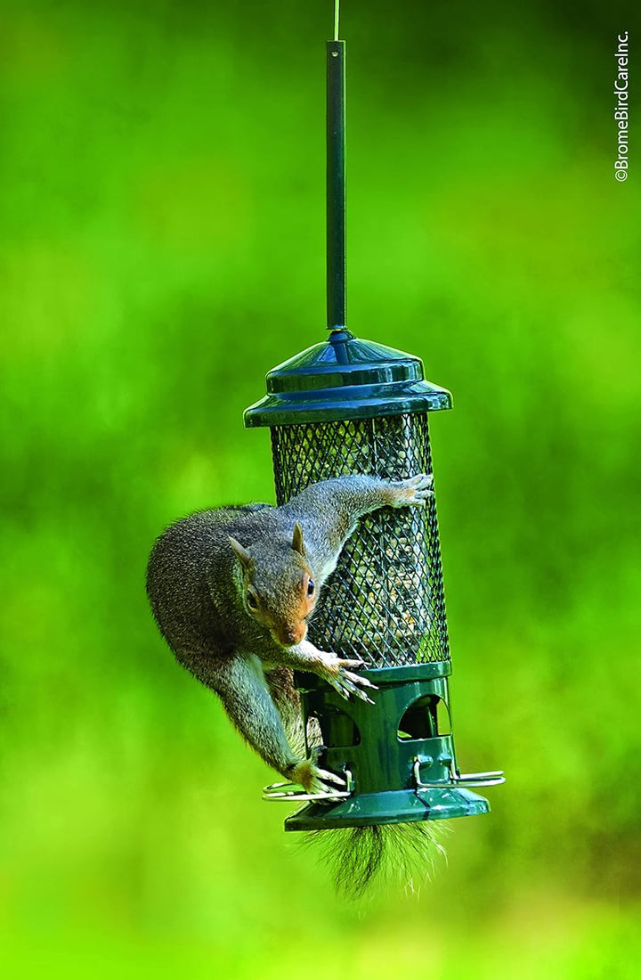 Brome Squirrel Buster Standard Squirrel-proof Bird Feeder - Birds Choice