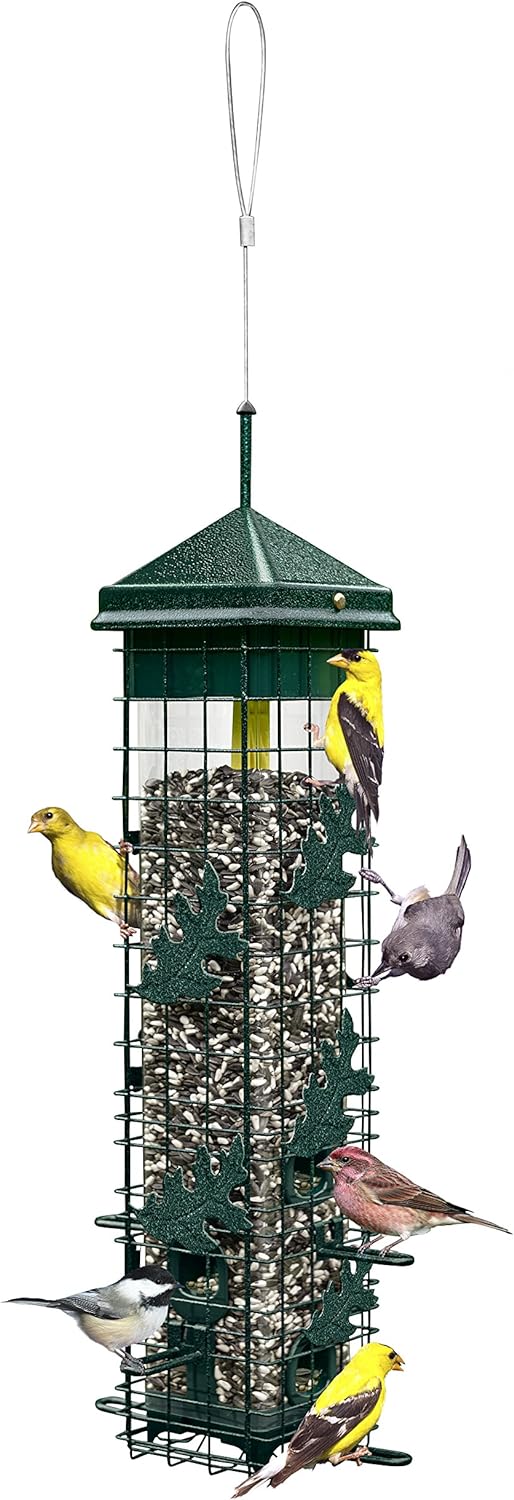 Brome Squirrel Solution 200 Squirrel Proof Feeder - Birds Choice